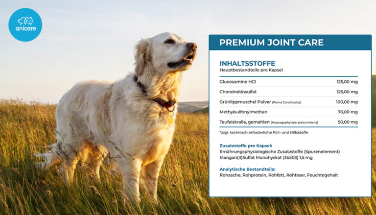 Premium Joint Care gegen Gelenkschmerzen Meine Tierwelt