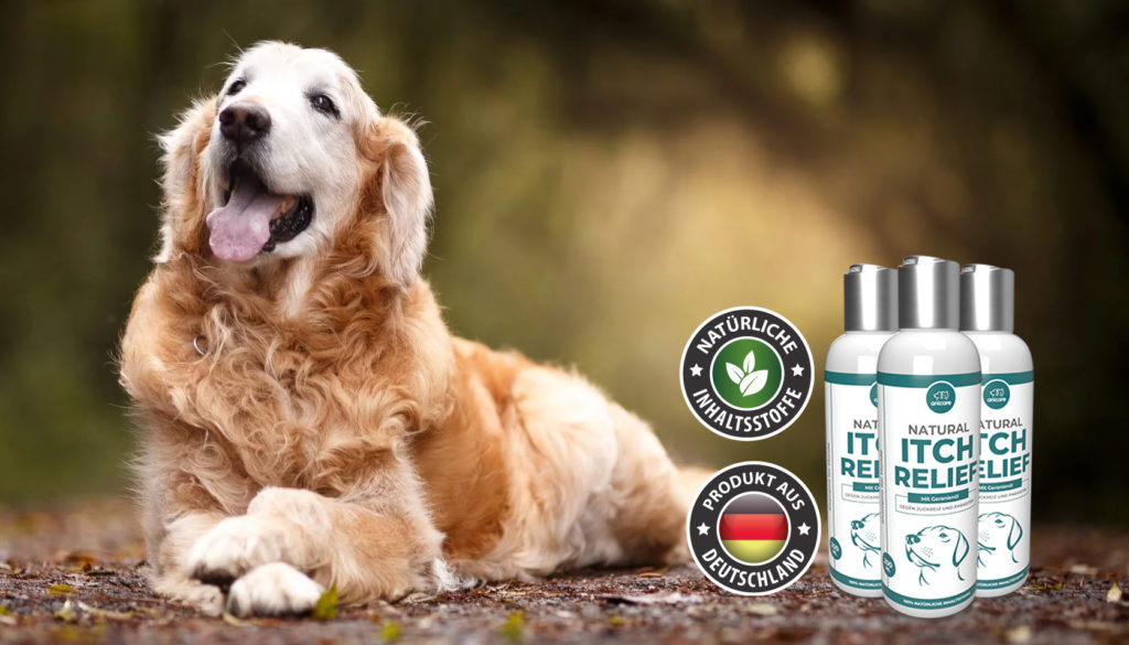 Gegen Hautjucken &amp; Juckreiz bei Hunden! Meine Tierwelt