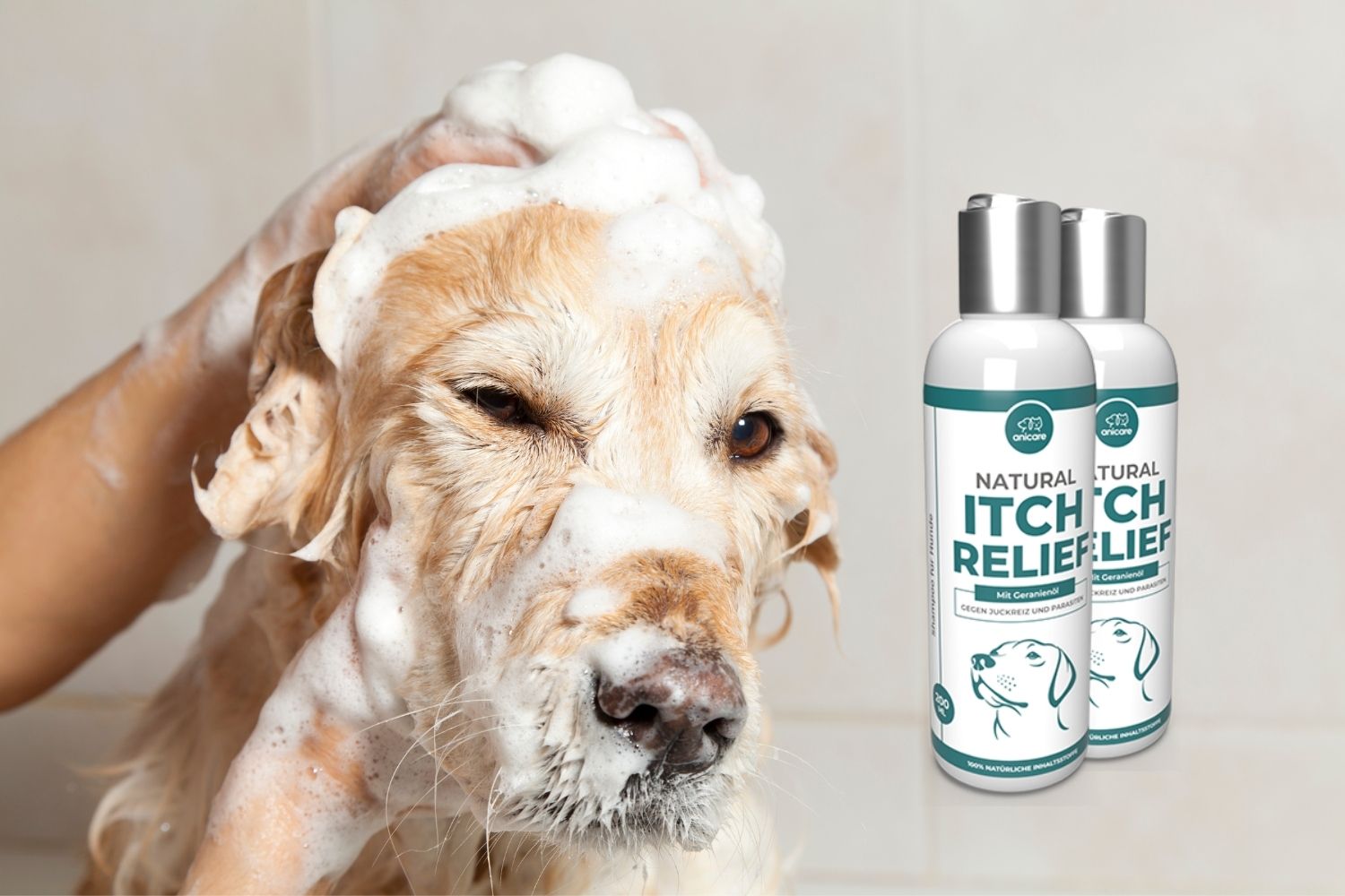 Milben können fatale Erkrankungen verursachen Meine Tierwelt