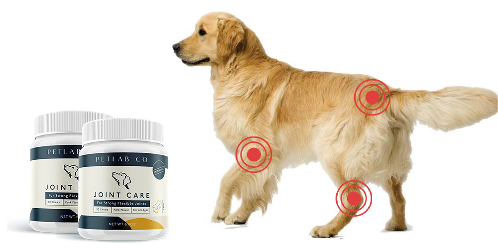 Petlab Joint Care, Golden Retriever