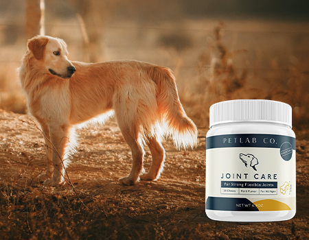 Petlab Joint Care, Golden Retriever