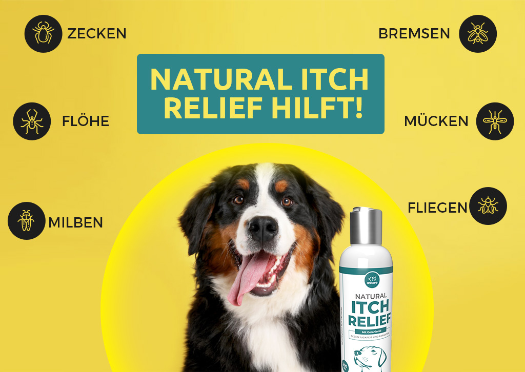 Natural Itch Relief Review