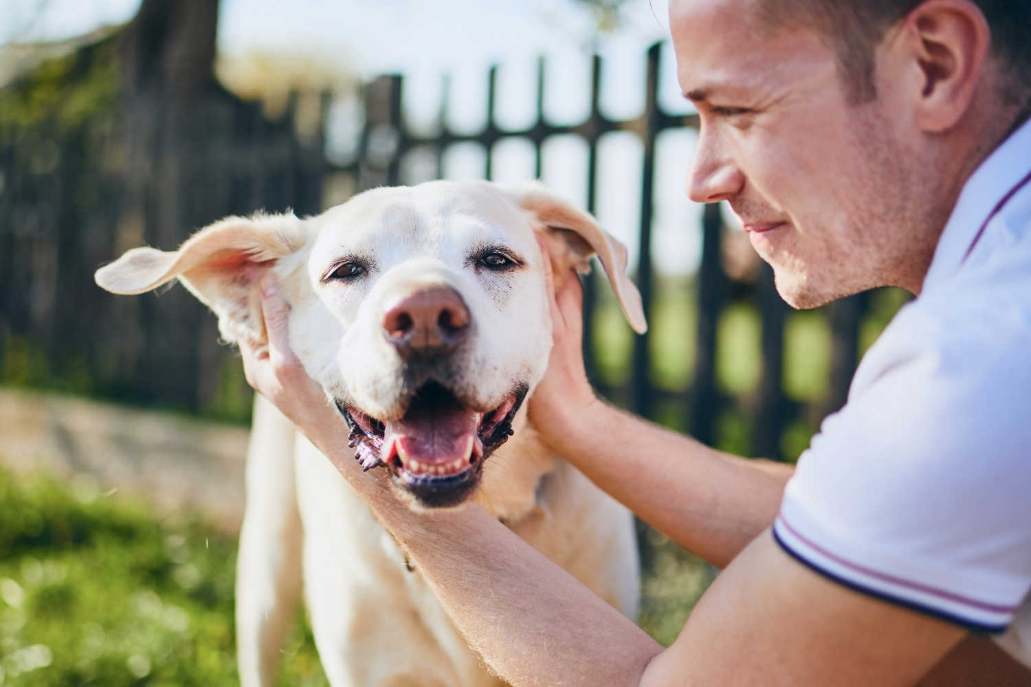 Glücklicher Hund neben Besitzer