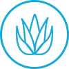 Aloe Vera icon