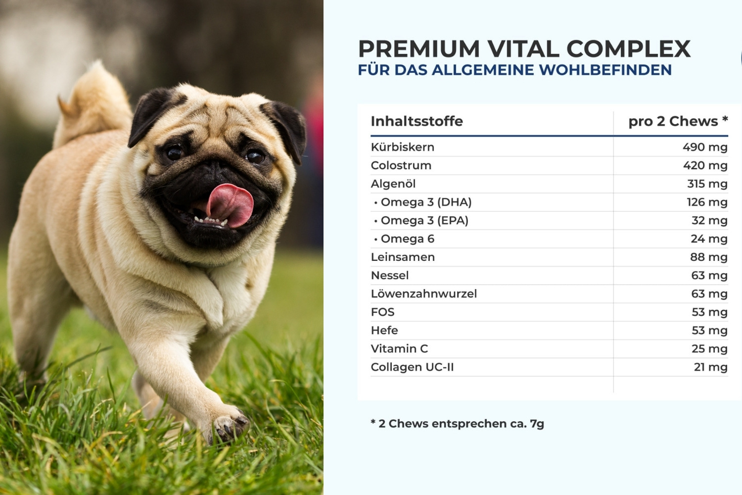 Inhaltsstoffe von Premium Vital Complex