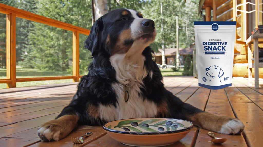 Nutzen der Nukleotike für den Hund und der Nukleotike für die Katze - Premium Digestive Snack