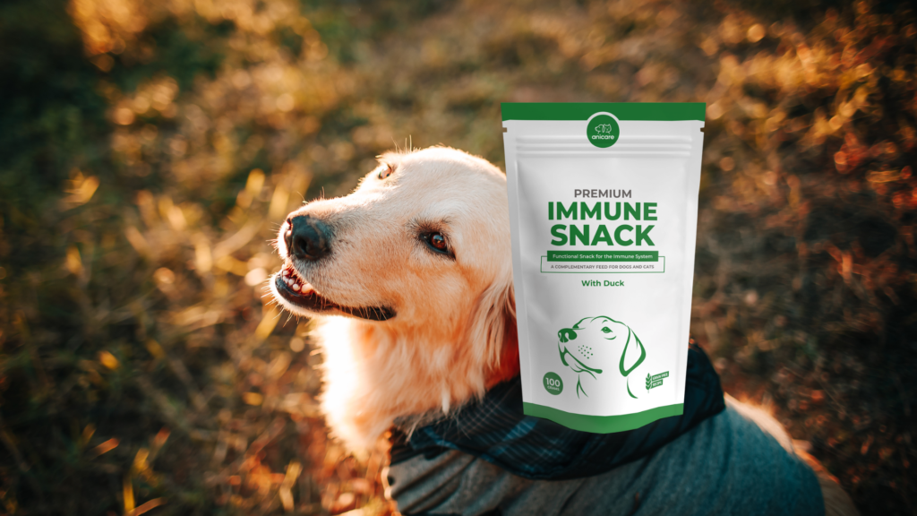 Premium Immune Snack